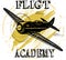 Flight academy old plane design brown