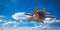 Flight airplane wooden kids toy on blue sky background. 3d illustration