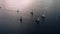 Flight around a sailing group of yachts at sunset with light tilt shift effect
