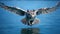 flight blue owl
