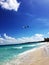 Flight of a brown pelican on the beach in Cancun, a Mexican city