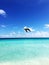 Flight of a brown pelican on the beach in Cancun, a Mexican city