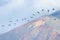 Flight of a flock of pelicans, over the Pacific Ocean