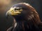 Flight of Freedom: Experience the Beauty of Eagles Through Captivating Pictures