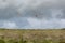 Flight of low flying flamingos in stormy weather.