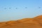 flight of military helicopters over sand dunes