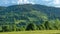 Flight over fields and forest