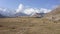 A flight over a herd of yaks grazing at the foot of Lenin Peak. Panorama of snow-capped mountains