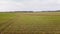 Flight over large green fields at low altitude