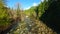 Flight over a mountain river. Shot on FPV drone. British Columbia, Canada.