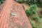 Flight over the red roof of a single family house with a chimney and a satellite antenna for inspection, control and preparation f