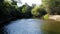 Flight over the river surrounded by forest