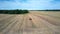 Flight over tractor driving on large harvested field