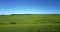 Flight over tremendous green field under clear blue sky