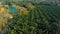 Flight overlooking a palm plantation in Phuket 2