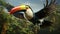 flight pose of a toucan, highlighting its colorful beak and wings against a clean white setting or suitable background