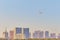 Flight of a seagull against a blue sky without clouds in the early morning. Blurred buildings of the coastal city in the