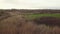 in-flight shooting over power lines, reeds and field. countryside.