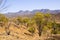 Flinders Ranges