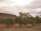 Flinders Ranges, Brachina Gorge, Australia