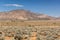 Flinders Ranges Landscape. South Australia