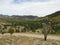 Flinders Ranges national park