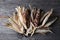 Flint Corn Cobs with Husks on Rustic Wood Table