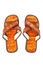 Flip flop sandals beach shoes on white