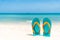 Flip flop on sandy beach, green sea and blue sky background