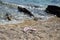 Flip-flops Left on Beach