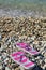 Flip flops on pebbled beach closeup