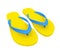 Flip-flops Sandal Isolated