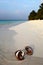 Flip-flops on a tropical beach