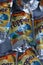 Flipper Rio d`oro fruit flavored drink for children