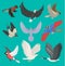 Fllying birds vector illustration cartoon cute fauna feather flight animal silhouette spring freedom natural concept