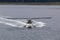 Float Plane   843123