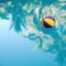 Floating ball in swimmingpool