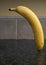 Floating Banana