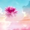 Floating beautiful lotus and reflection of sky with fluffy clouds on water, toned in pastel rainbow colors. Symbolic flower in