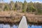 Floating Boardwalk over Grassy Wetland