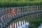 A floating boardwalk over still waters