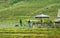 Floating boat rowling around temple on the lake, sorrounded by mountain at Trang An