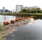 A floating boom across the River Aire at Leeds Dock collecting waste