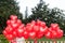 A floating bouquet of red, heart-shaped balloons