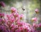 Floating bumble bee scoping pit pink azalea flowers for nectar. Spring time at Happy Hollow in Roanoke County VA