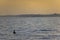 Floating buoy on the lake at sunset