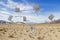 Floating chairs in desert