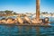 A floating dock with sea lions in the middle of Morro Bay harbor, CA