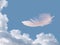 Floating feather over sky - lightness, freedom concept