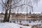 A floating flock of ducks and a branching birch without leaves on the river bank